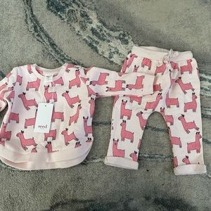 Seed. Adorable little pants and top set. NWT $88